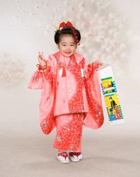 新着情報｜Mille le Mirror–ミレールミラー